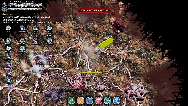Mycelium Conquest: Mitosis