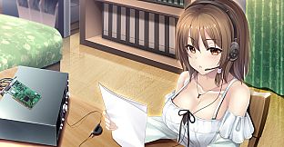 The Future Radio and the Artificial Pigeons