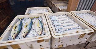 ノースウェステリアの子供