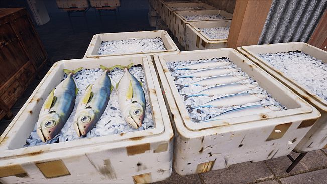 ノースウェステリアの子供