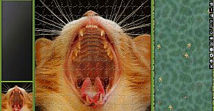 Jigsaw Puzzle Pack - Pixel Puzzles Ultimate: Cats 2