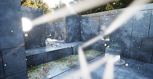 Scientific project: Optic