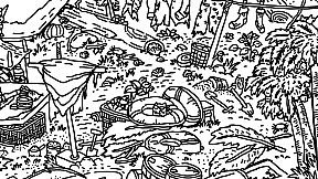 Hidden Cats In White Sand Village