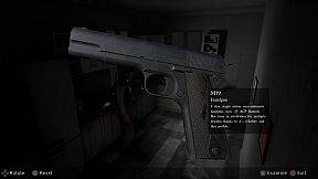 THE KING IN THE SHADES