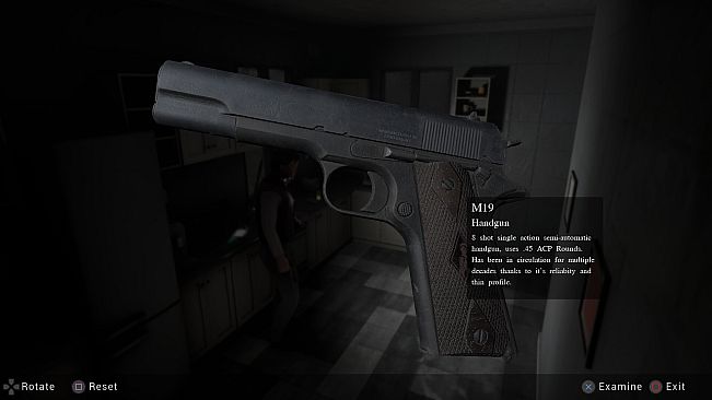 THE KING IN THE SHADES