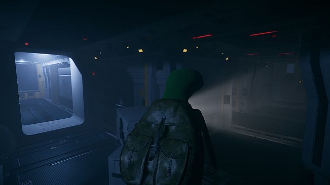 Maurice: In The Predator's Nest