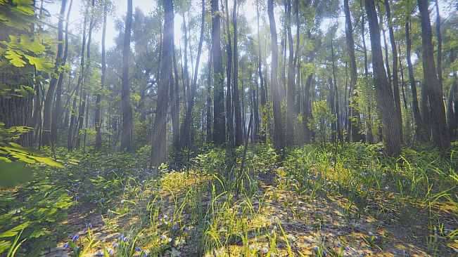 Mindfulness Simulator - ASMR Meditation Game