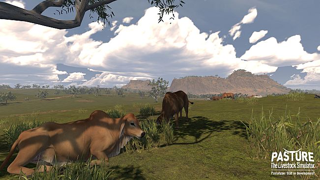 Pasture: The Livestock Simulator