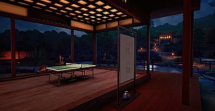 VR Ping Pong Pro