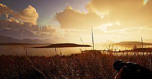 Photography Simulator