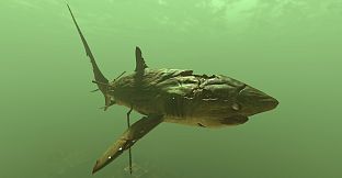 Depth - Deadeye Bigeye Thresher Skin