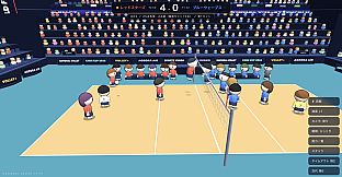 National Volley