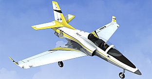 RealFlight Evolution - 2024 Year Content Pass