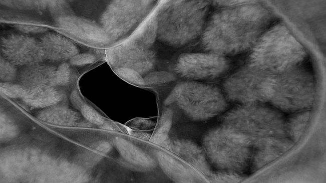 Tomography VR