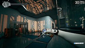 Corpse disaster-survivors