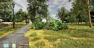 Bird Watch: Central Park