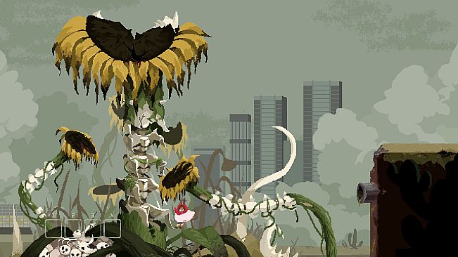 라쿠카라차(Lacucaracha)