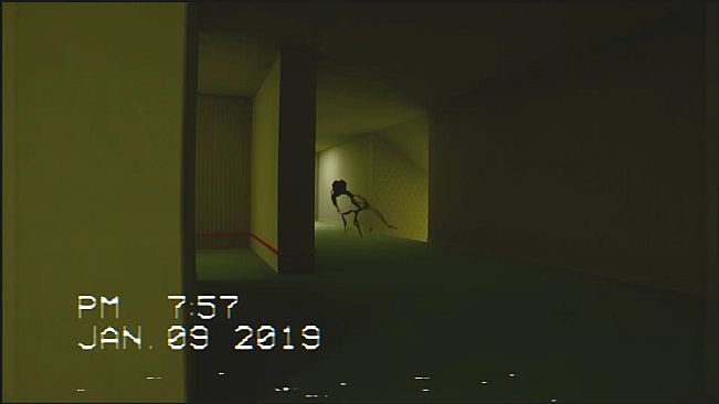 The Backrooms Footage