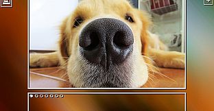 Super Jigsaw Puzzle: Generations - Dogs Puzzles