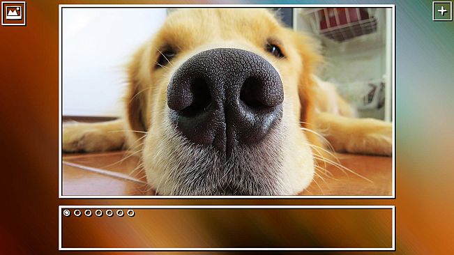 Super Jigsaw Puzzle: Generations - Dogs Puzzles