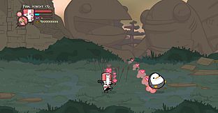 Castle Crashers - Pink Knight Pack