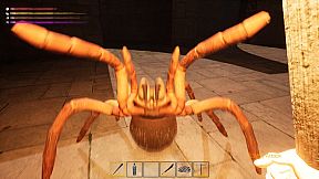 The Maze Survivor: The 9th Entrants