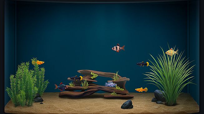 The Fish Corner