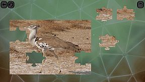 Puzzles for smart: Birds