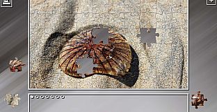 Super Jigsaw Puzzle: Generations - Jellyfishes