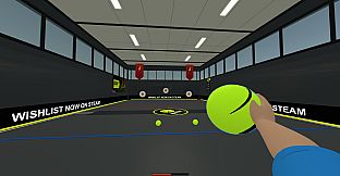Dodgeball Bash