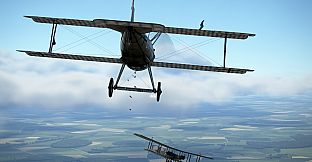 IL-2 Sturmovik: SSW D.IV Collector Plane