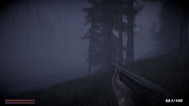 Horror in the forest