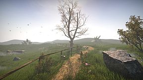 Dr. Emmerson's Nocturnes