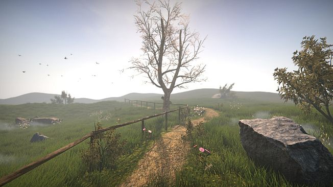 Dr. Emmerson's Nocturnes