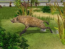 Wildlife Park 2 - Crazy Zoo