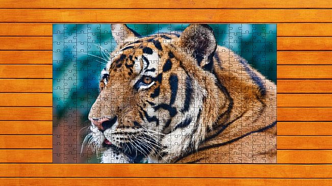 Big Cat Jigsaw Quest - Expansion Pack 1