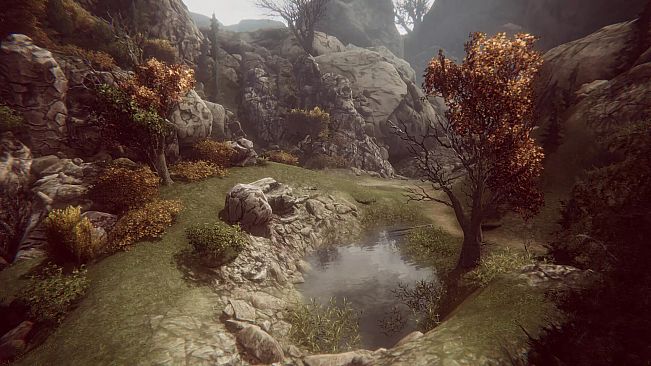 Natural Elements Online