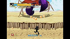 Crouching Pony Hidden Dragon