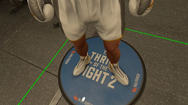 The Thrill Of The Fight 2 - Reigning Champion Shoes