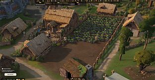 Foundation: Harvest Festival