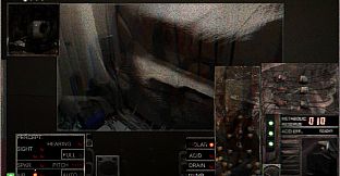 Plastic Spouse Interrogation