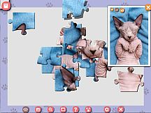1001 Jigsaw. Cute Cats 5