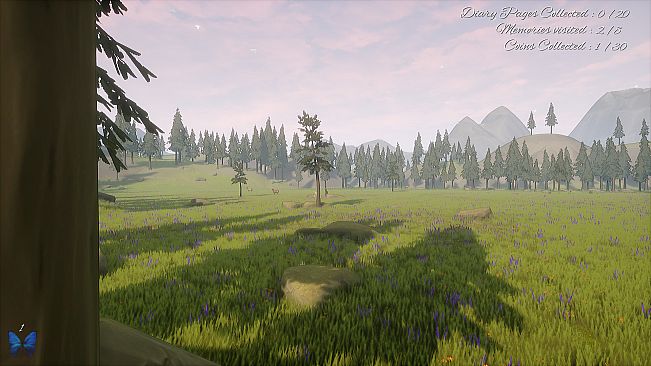 The Place I Called Home