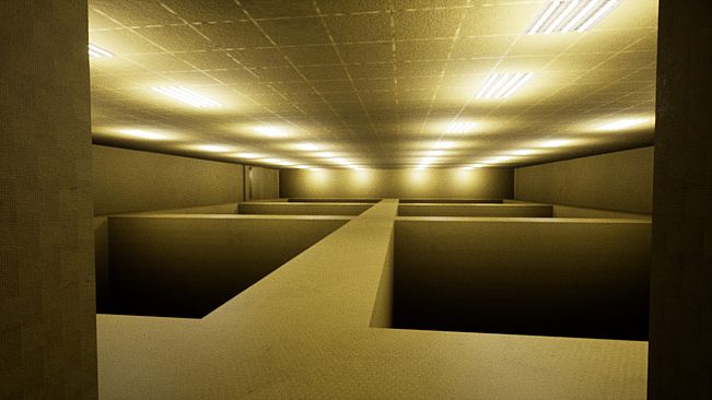 The Backrooms Project