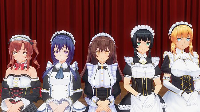 CUSTOM ORDER MAID 3D2 It's a Night Magic Shogatsu Gifts ALL in PACK