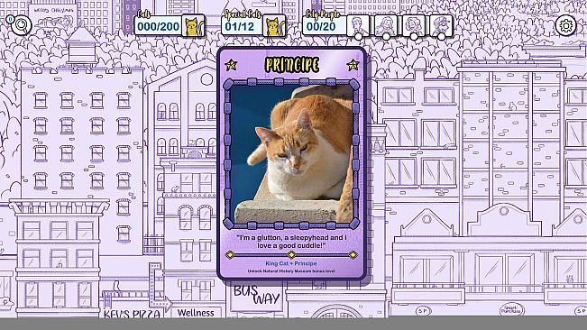 Hidden Cats in New York