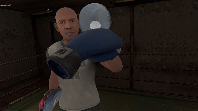 True Boxing VR