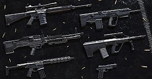 Insurgency: Sandstorm - Black Powder Weapon Skin