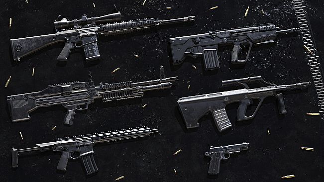 Insurgency: Sandstorm - Black Powder Weapon Skin