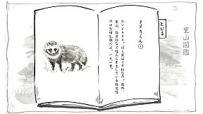 里山のおと 夏草こみち